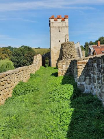 Fotografie Bardejov